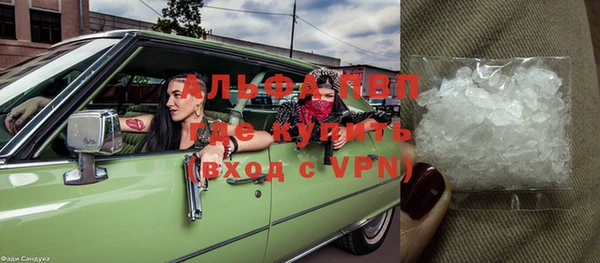 гидра Абаза