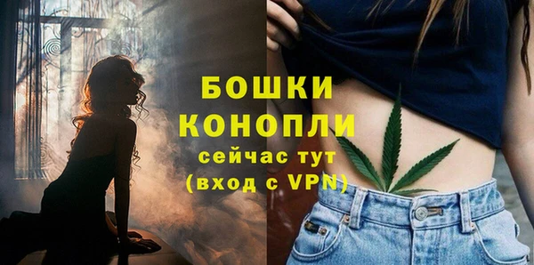 гидра Абаза