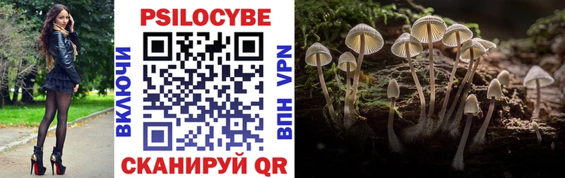 MEGA ССЫЛКА  Абинск  Псилоцибиновые грибы GOLDEN TEACHER 